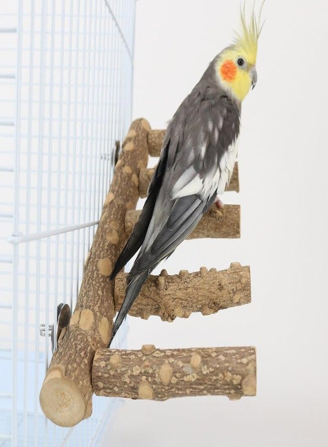 SS Organic® SS Organic® Natural Wood Parrot Perch Bird Stand Climbing Standing Branch Ladder Bird Cage Wood Stand Parrot Chew Toy for Small Animal - Image 3